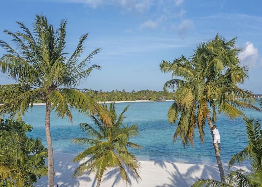 Kaafu Atoll Naladhu Beach