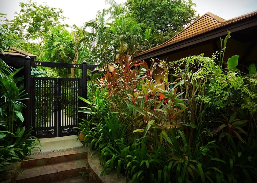 Surat Thani Province Koh Samui Garden view