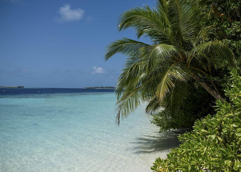 Kaafu Atoll Biyadhoo Island Exterior