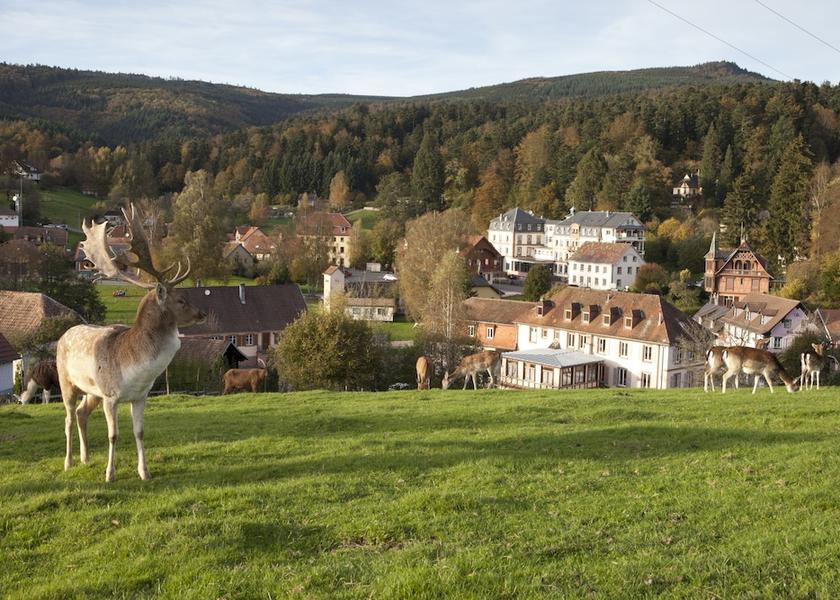 Grand Est Le Hohwald Exterior Detail