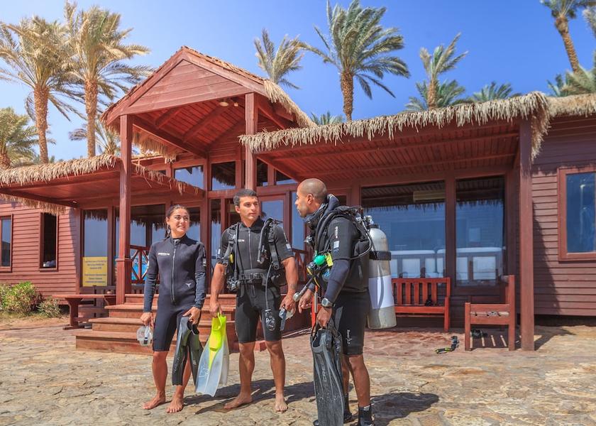 South Sinai Governate Sharm El Sheikh Snowboarding