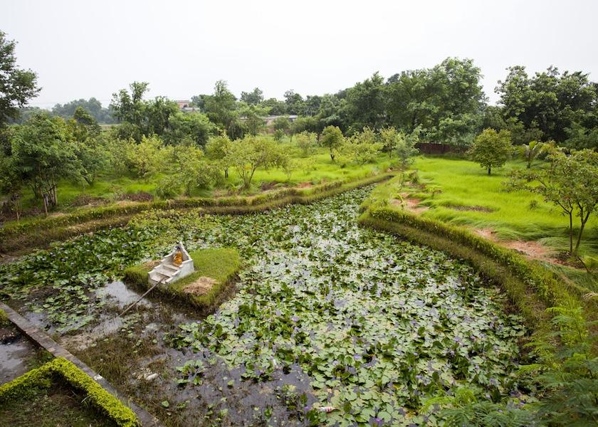  Lumbini Garden