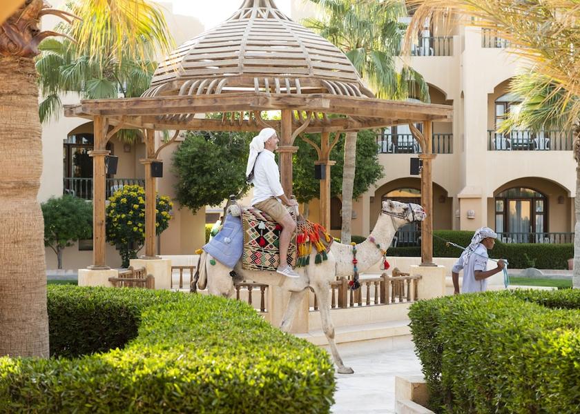 Red Sea Governorate El Gouna Garden
