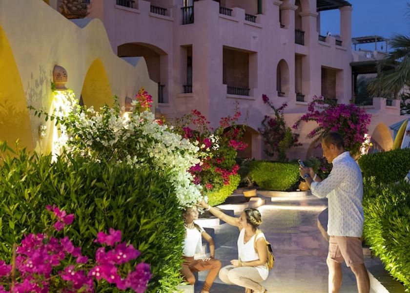 Red Sea Governorate El Gouna Garden