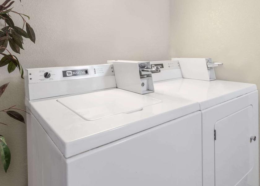South Dakota Winner Laundry