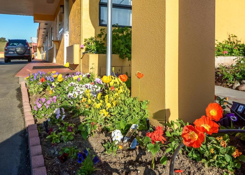 California Hollister Garden