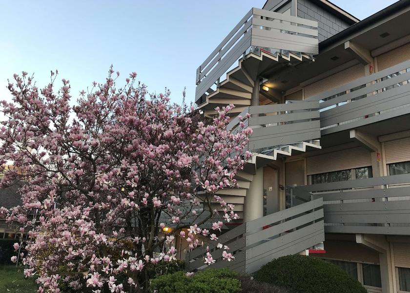 Ile-de-France Pontoise Exterior Detail