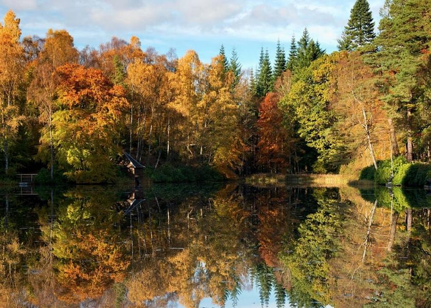 Scotland Pitlochry View from Property