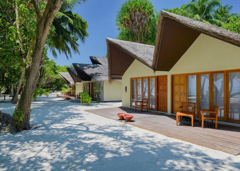 Kaafu Atoll Lhohifushi Room