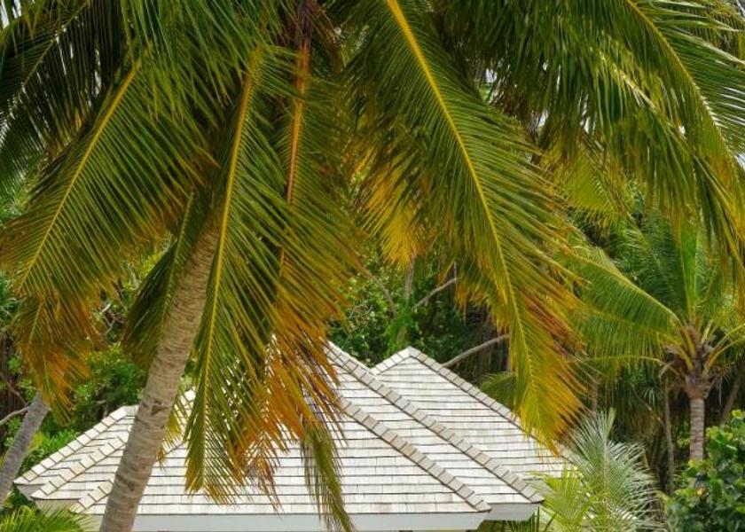 South Nilandhe Atoll Kandima Island 