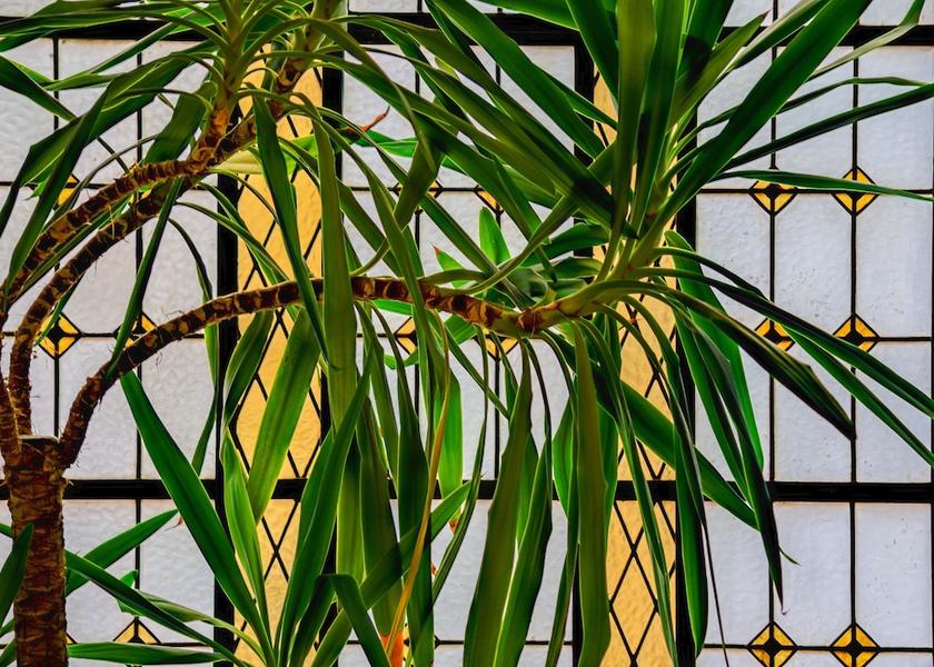  Lisbon Interior detail