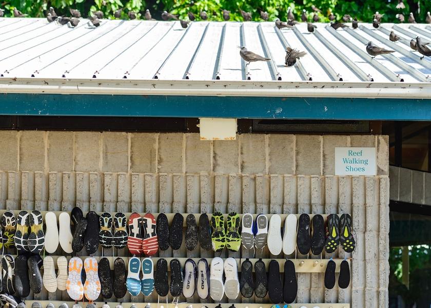 Gladstone Regional Heron Island Property amenity