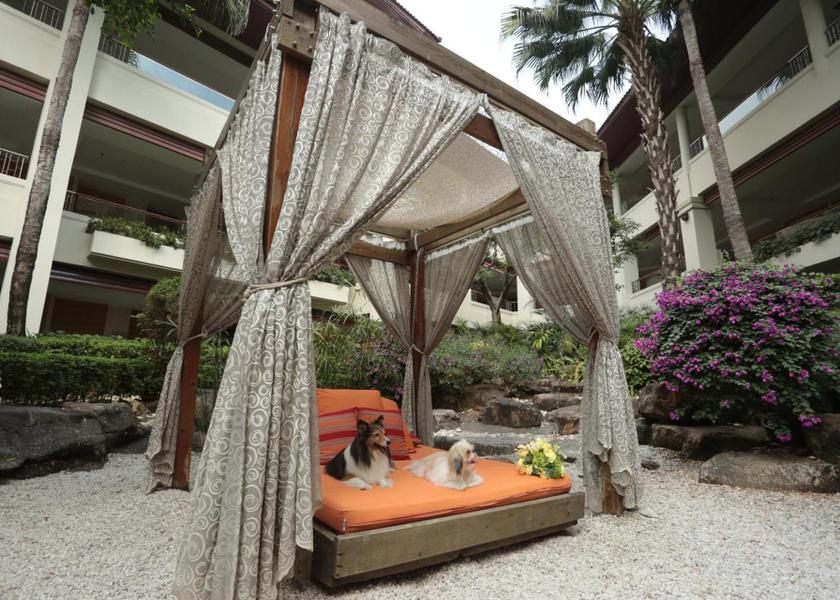 Guangdong Shenzhen garden