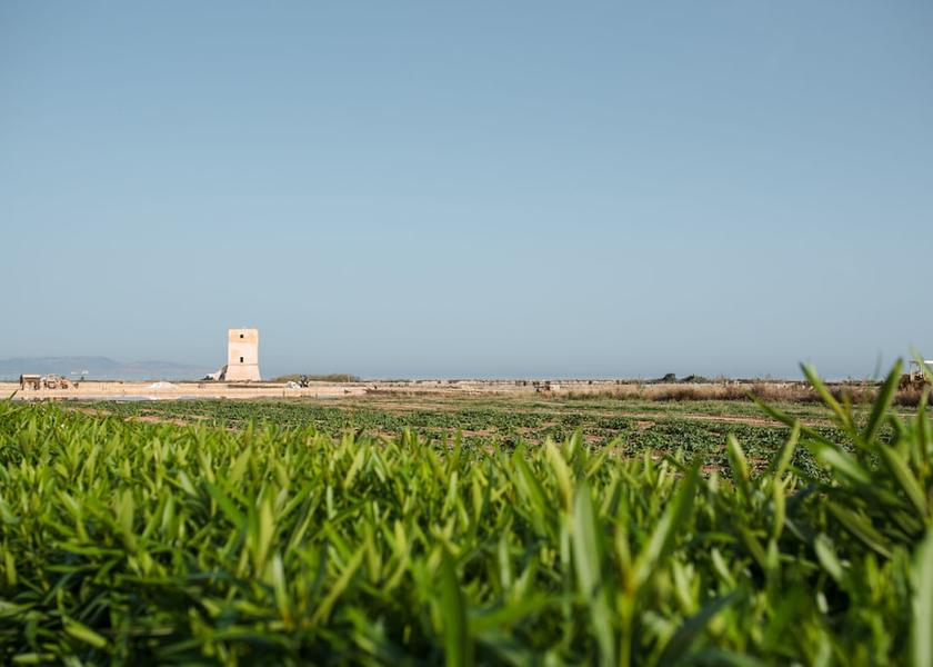 Sicily Paceco Water View