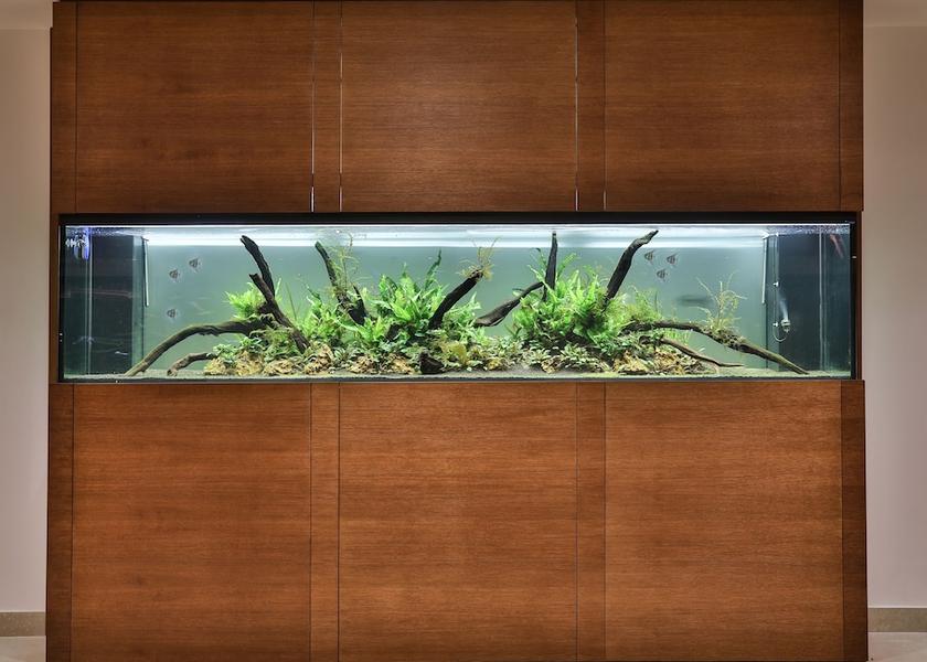 Puglia Galatina Meeting Room