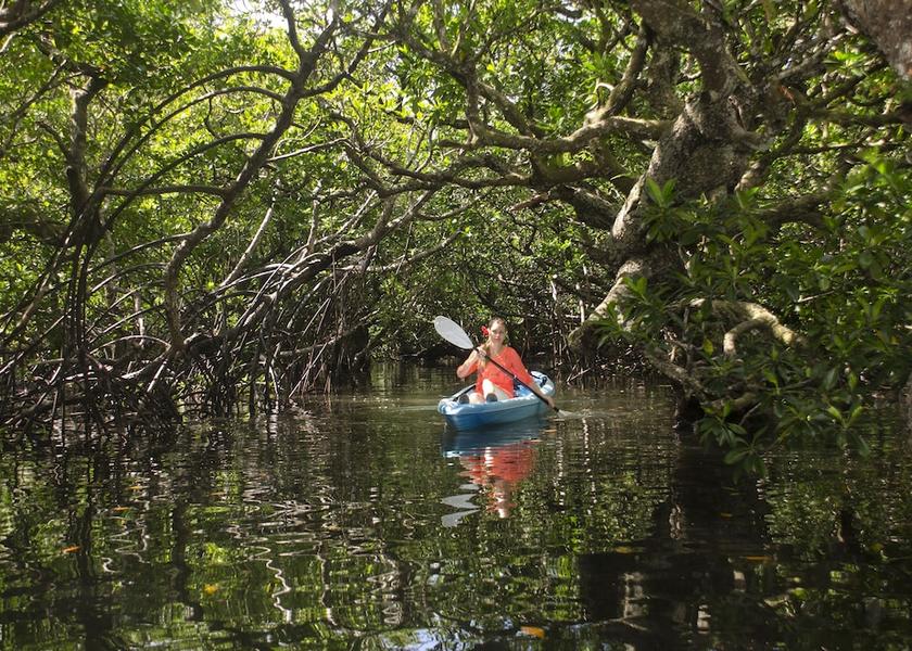 Central Division Beqa Island Kayaking