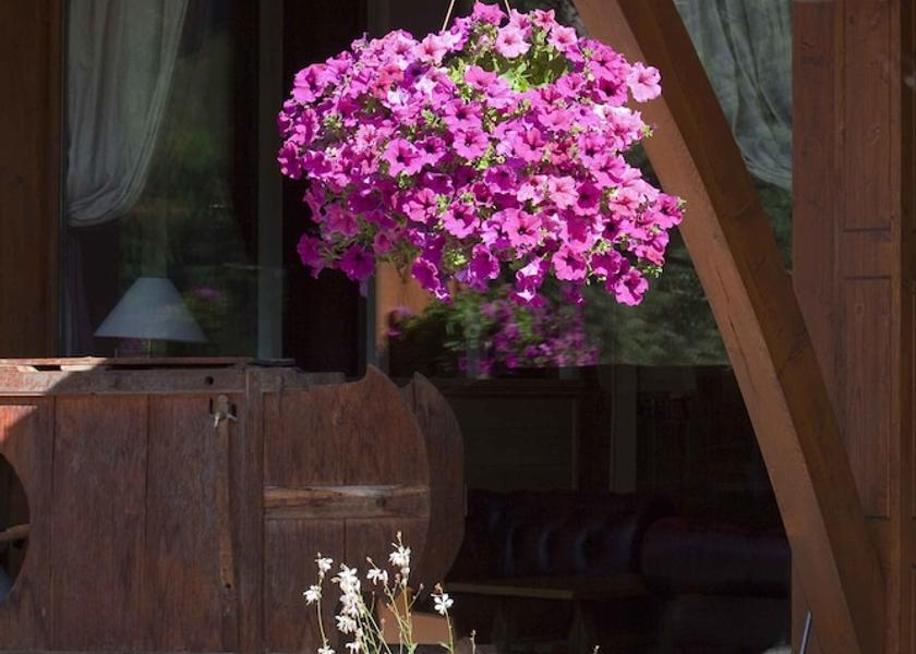 Auvergne-Rhone-Alpes La Clusaz Exterior Detail