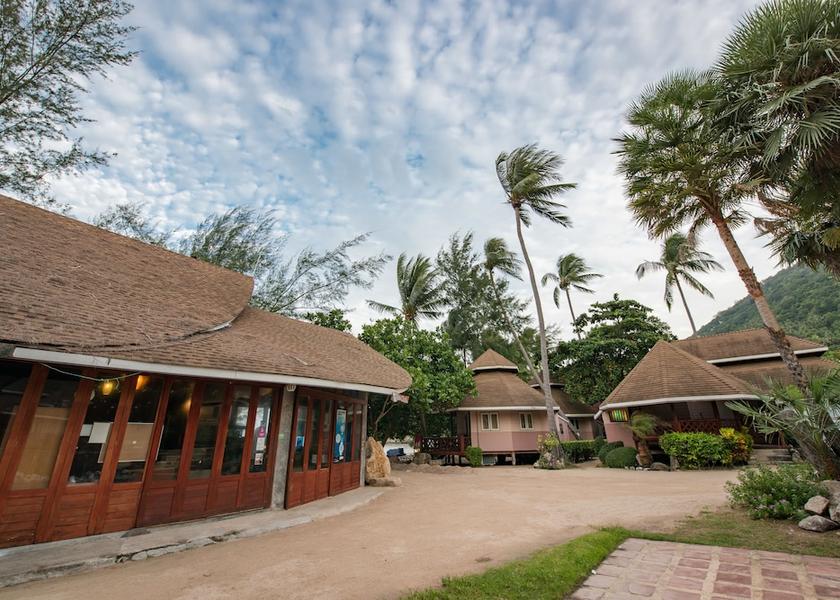 Surat Thani Province Koh Tao Restaurant