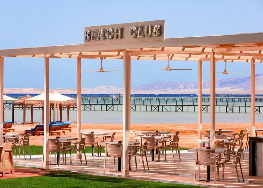 South Sinai Governorate Sharm El Sheikh Restaurant