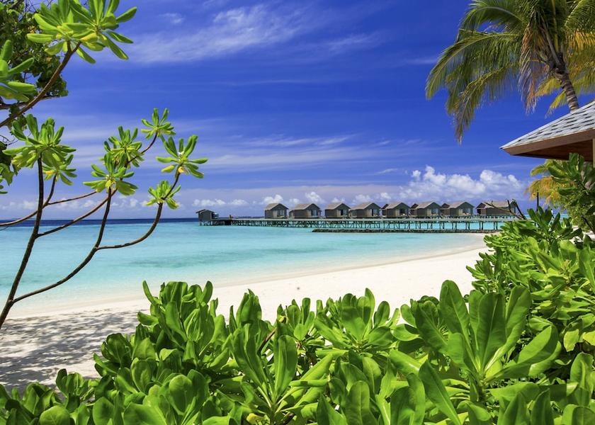 Kaafu Atoll Giravaru Beach