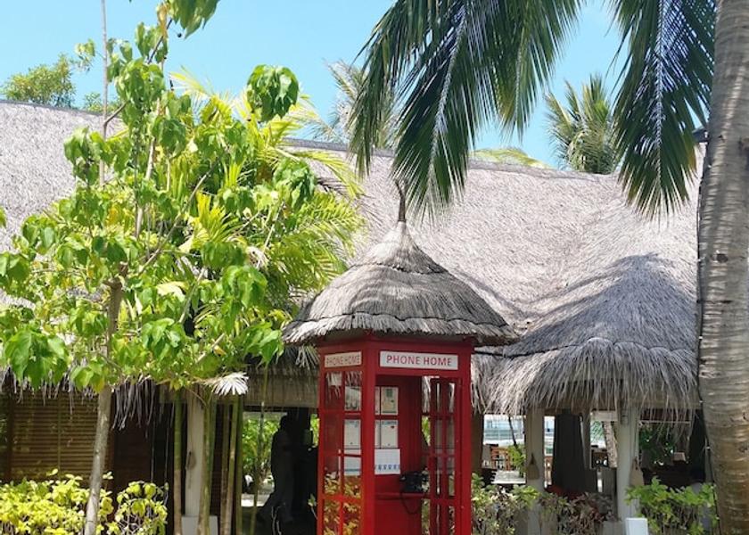 South Ari Atoll Dhidhoofinolhu Island Garden