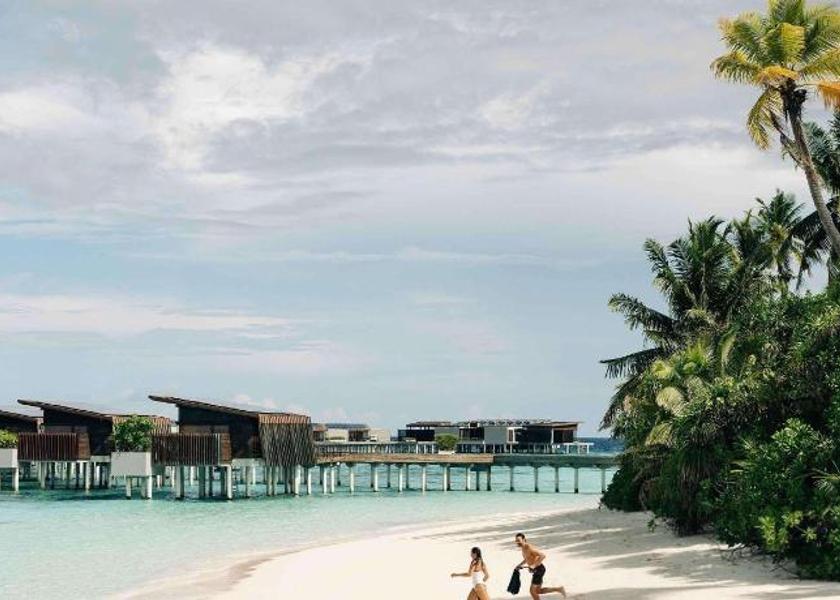 Gaafu Alifu Atoll Hadahaa 
