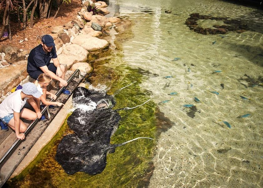 Queensland Whitsundays Ecotours