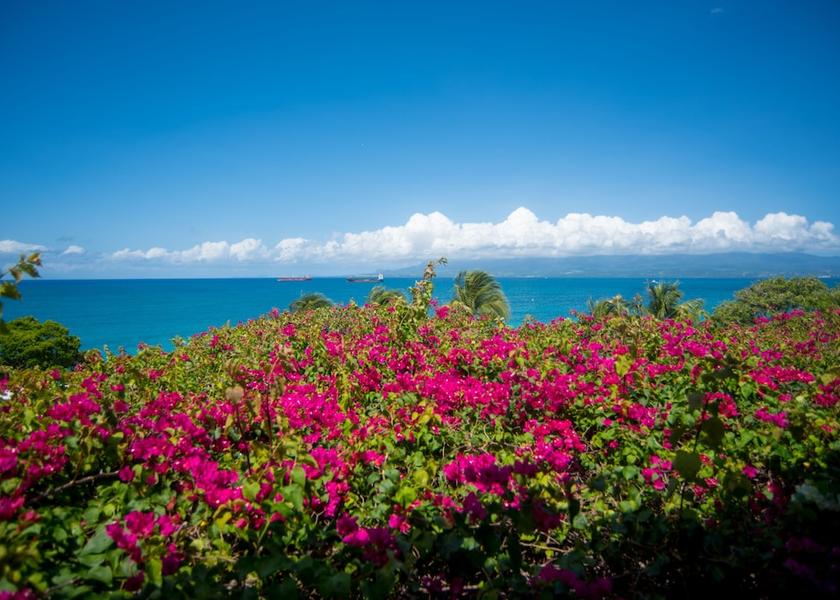  Le Gosier View from Property