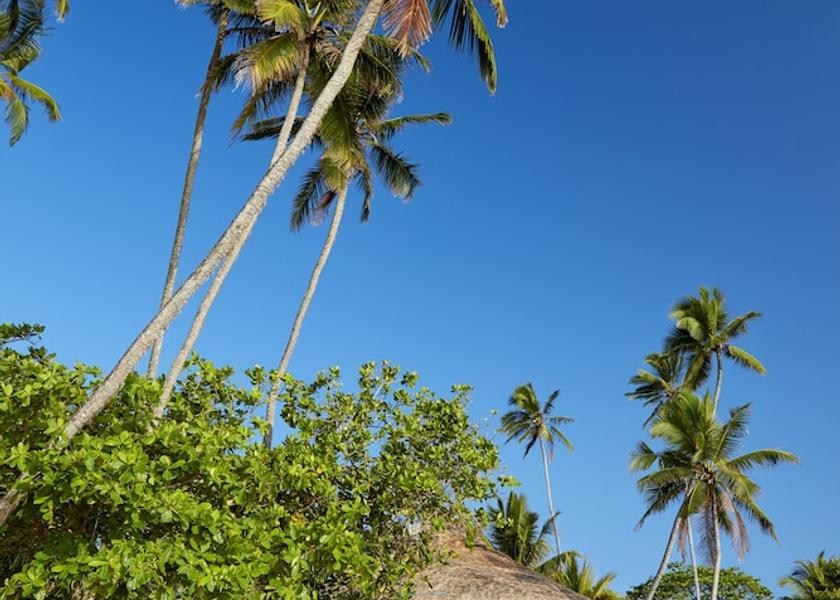 Matara District Dickwella Property Grounds