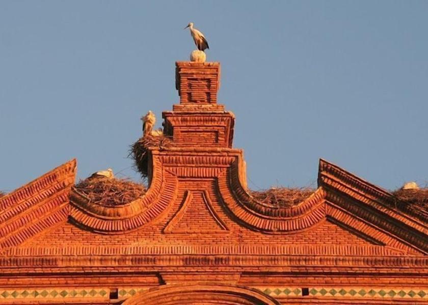 La Rioja Alfaro Point of interest