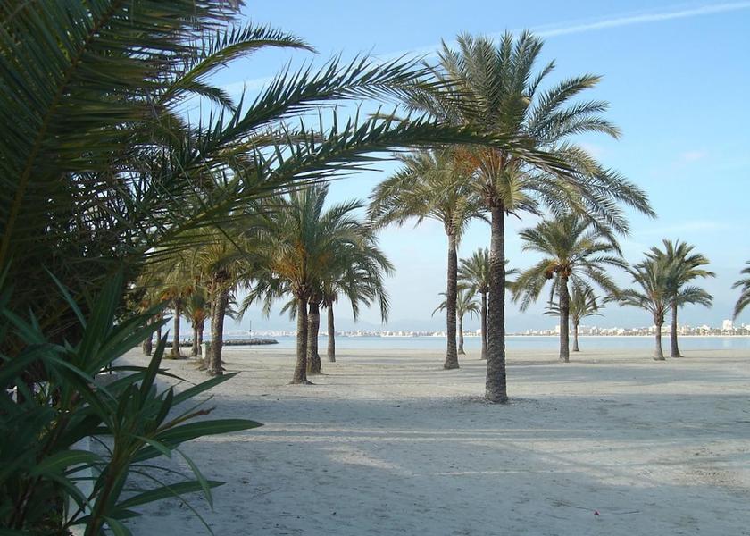 Balearic Islands Llucmajor Beach