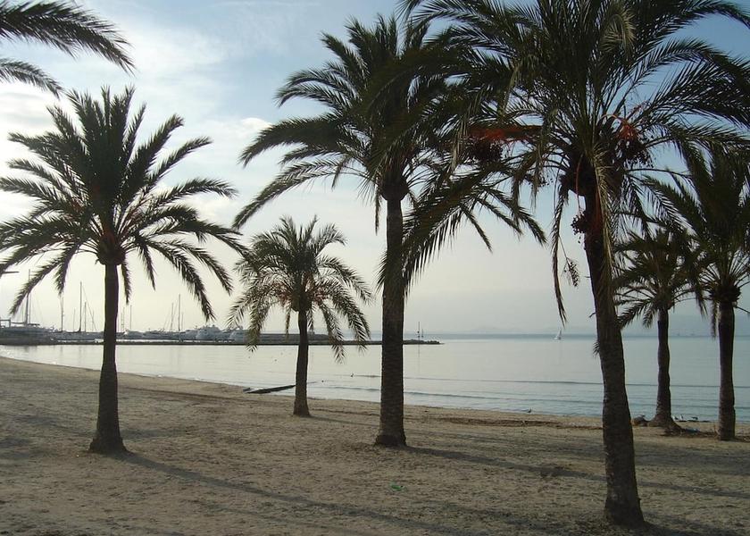 Balearic Islands Llucmajor Beach