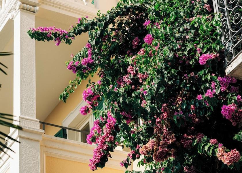 Lombardy Gardone Riviera Front of property