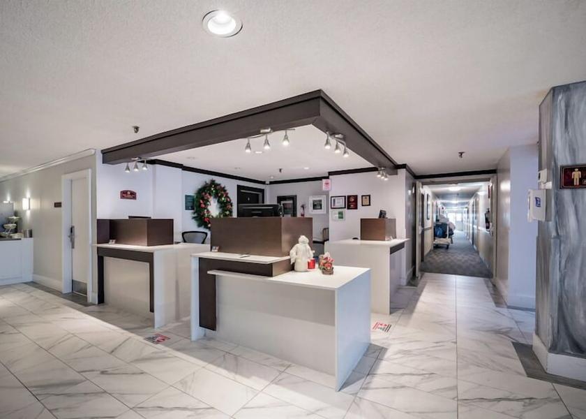 Nova Scotia Enfield Reception