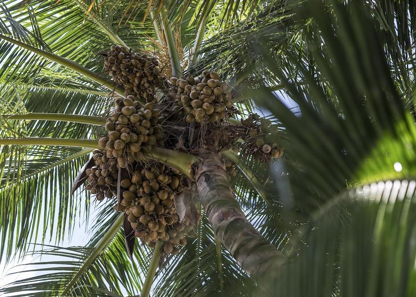 MV Maldives Exterior Detail