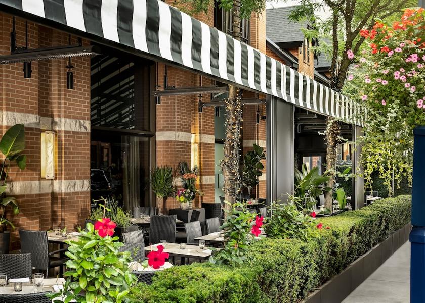 Ontario Toronto Terrace/patio