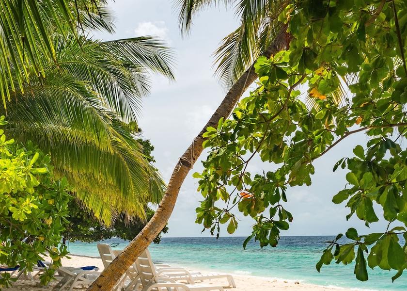 Baa Atoll Dharavandhoo Beach