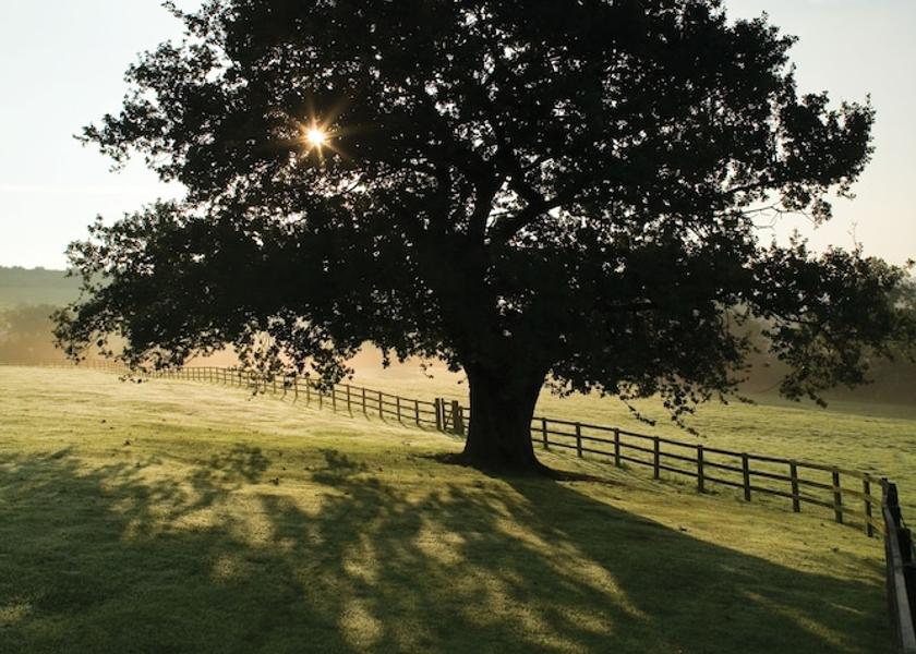 England Wetherby Property Grounds