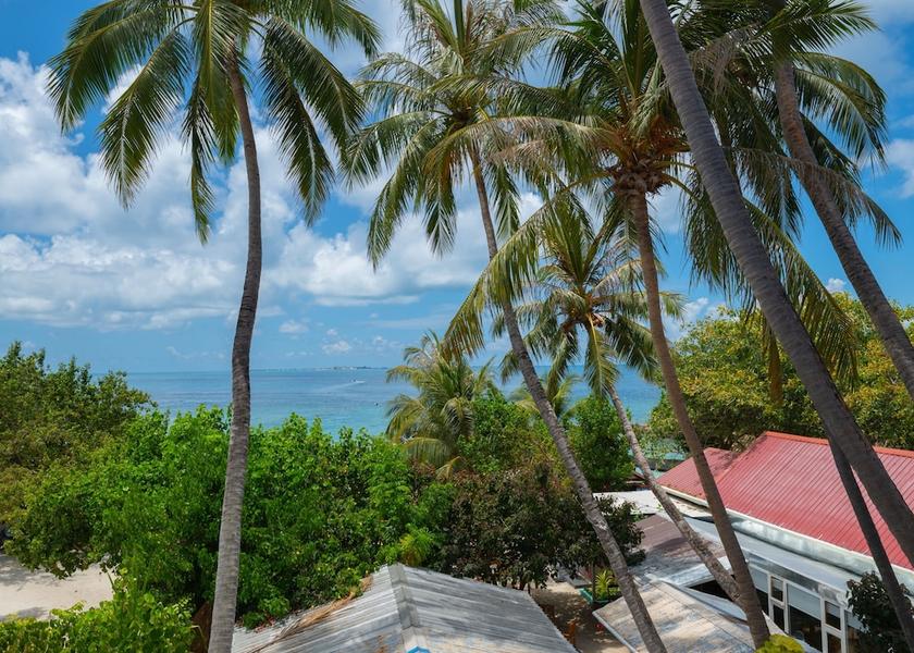 Kaafu Atoll Maafushi Room
