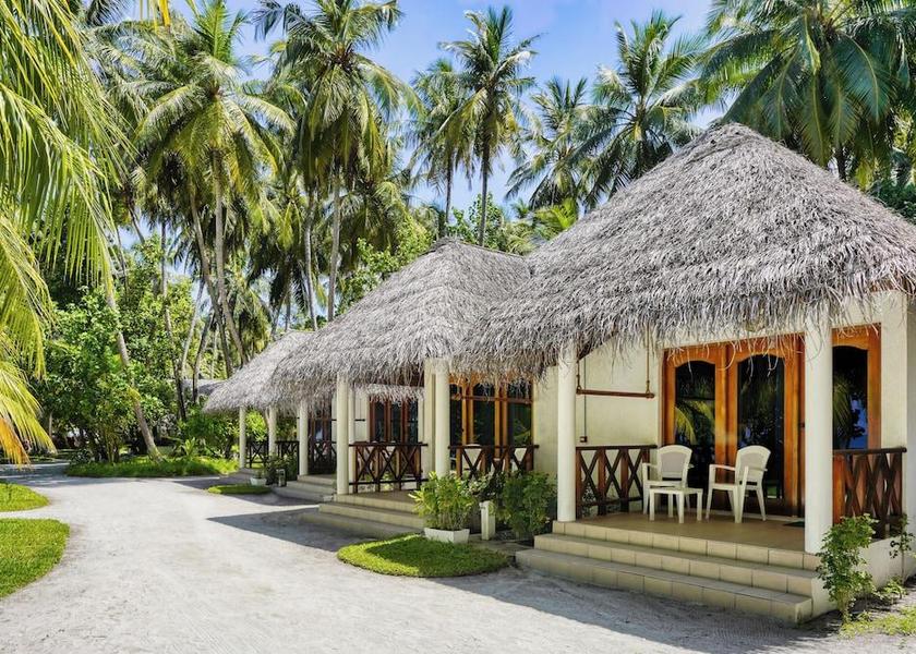 Kaafu Atoll Fihalhohi Island 
