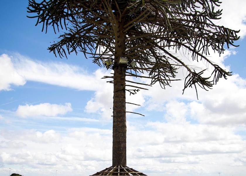 Wales Holywell Garden