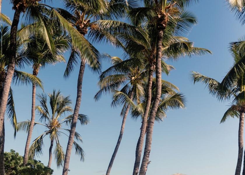  Flic-en-Flac Restaurant