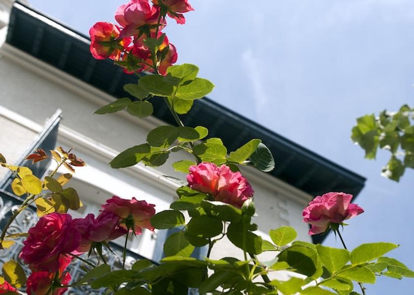 Nouvelle-Aquitaine Biarritz Facade