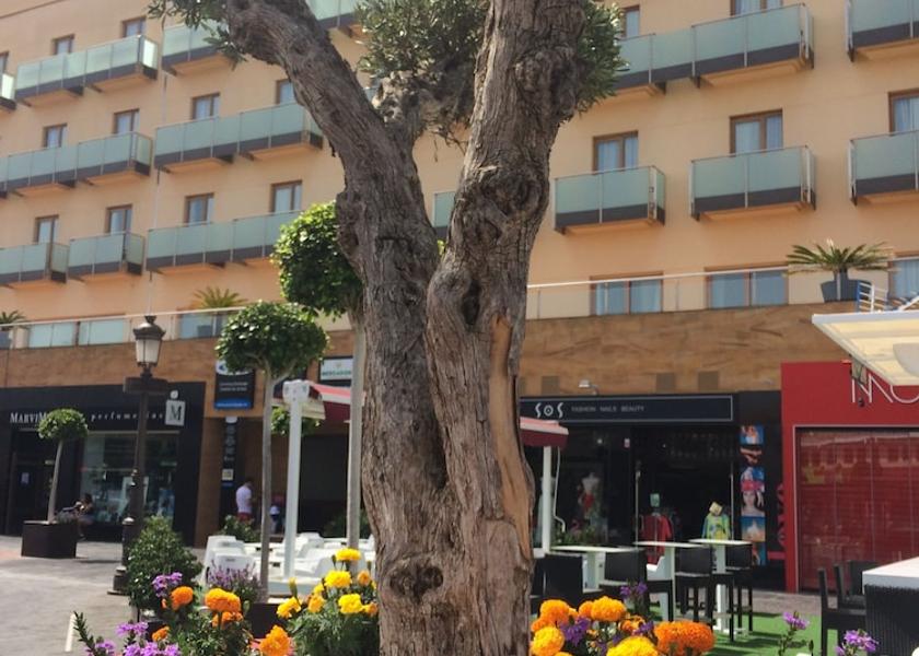 Murcia Los Alcazares Porch