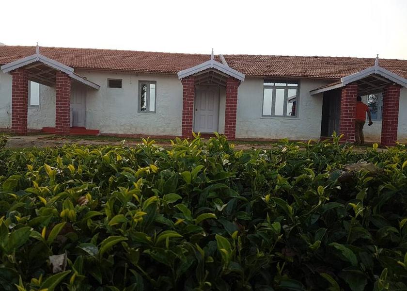 Tamil Nadu Ooty 