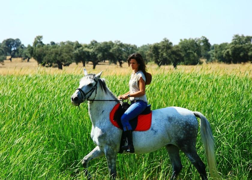 Castilla - La Mancha Torrico Sports Bar