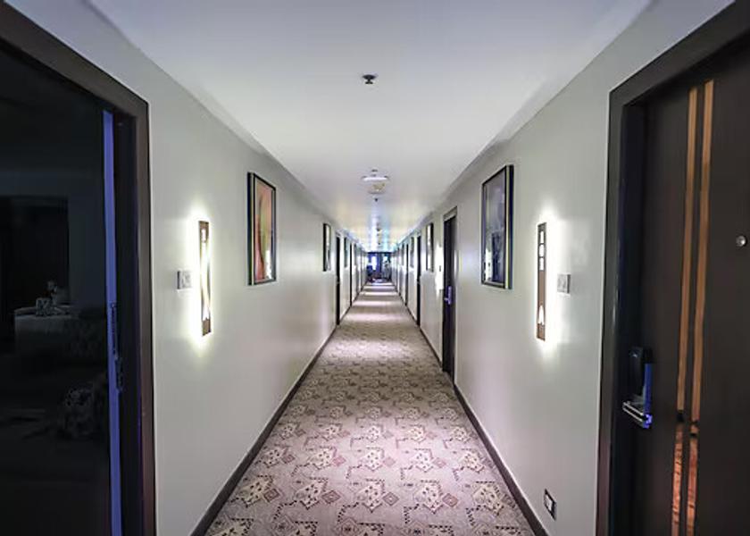 Andhra Pradesh Tirupati Public Areas