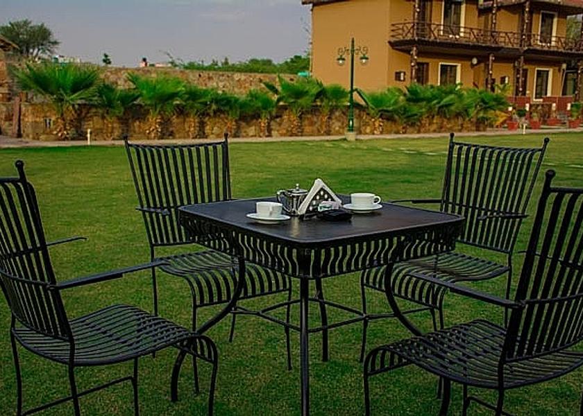Rajasthan Jaipur Outdoors