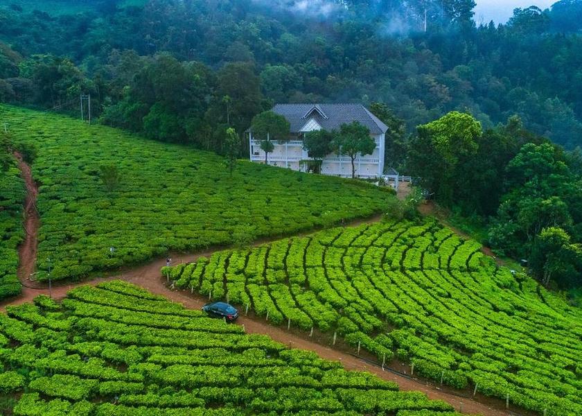 Kerala Munnar Hotel View