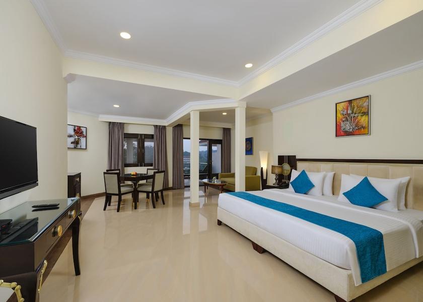 Rajasthan Mount Abu Room